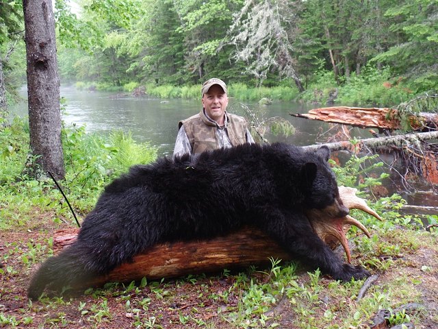 Bear Hunts, Black Bear Hunting, Black Bear Hunts, Mike Yancey, Pinehollow Longbows, Lucas Forge, Lucas Knives, Custom Hunting Knives