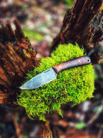 Custom Hunting Knife, Hand Forged Knife, Lucas Forge, Custom Outdoor Knife, Mushroom Knife, Foraging Knife, Bush Craft Knife