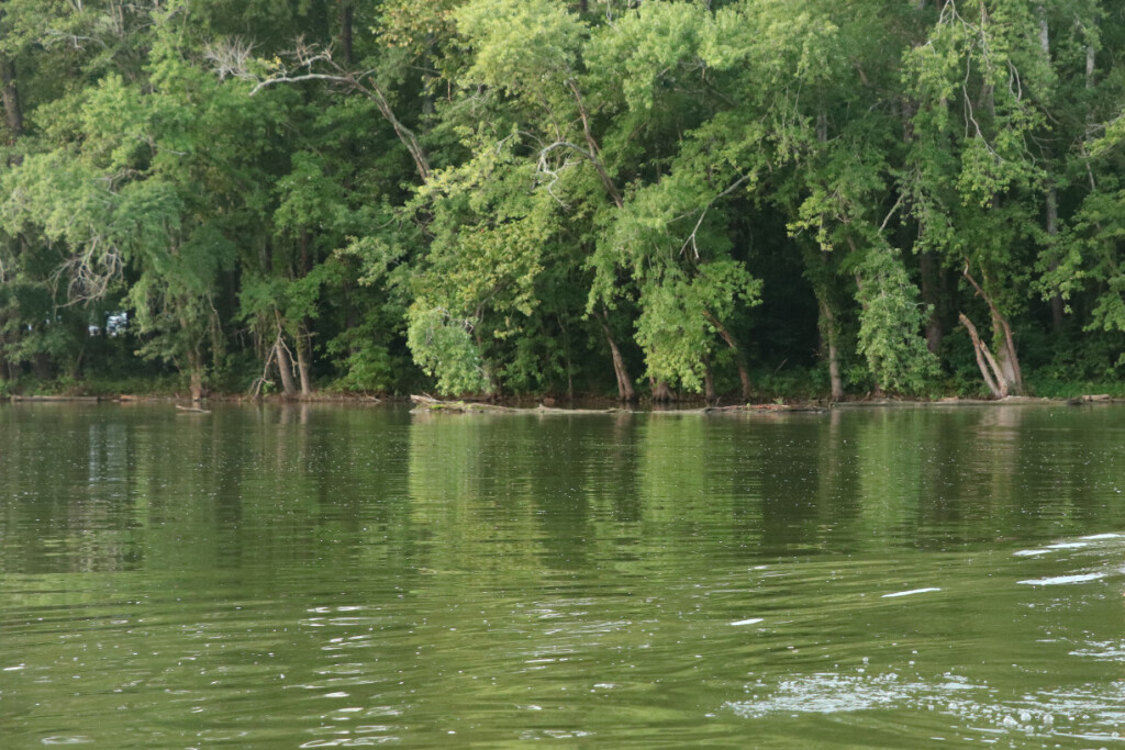 Lucas Forge, Custom Hunting Knives, High Carbon Knives, Fixed Blade Hunting Knives, Camp Knives, Outdoor Knives, Trade Knives