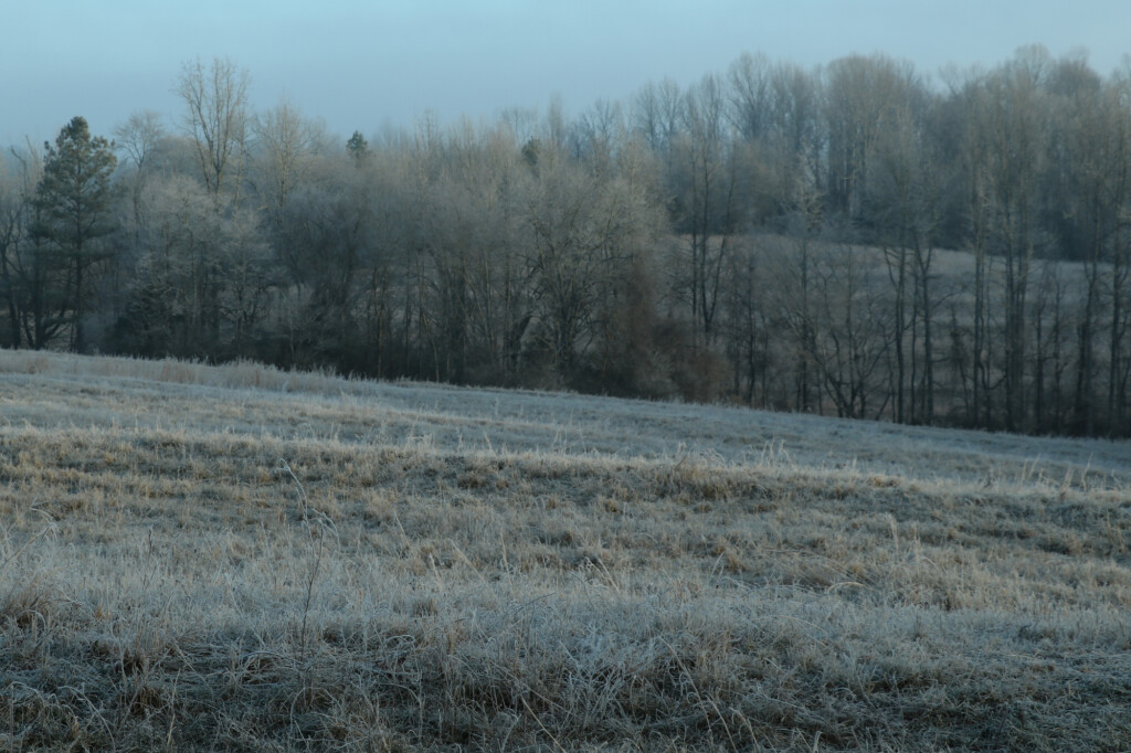 Lucas Forge, Custom Hunting Knives, USA Made Knives, Handmade Knives, Frontier Knives, Custom Knifemakers, Custom Nessmuk Knife, Custom Kephart Knife