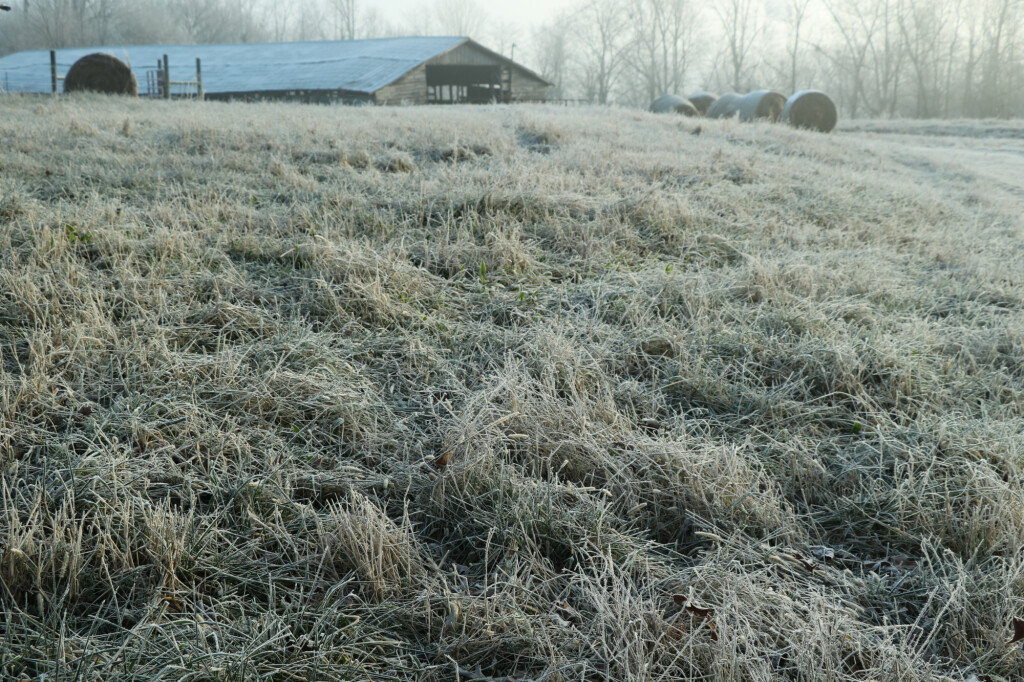 Lucas Forge, Custom Hunting Knives, USA Made Knives, Handmade Knives, Frontier Knives, Custom Knifemakers, Custom Nessmuk Knife, Custom Kephart Knife