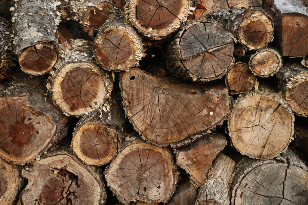 Custom Hunting Knives, Lucas Forge, Hunting Knives, Outdoor Knives, Bushcraft Knives