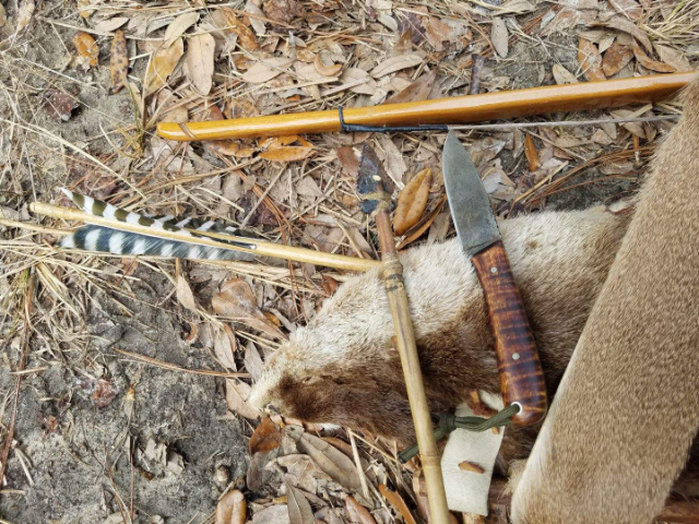 Traditional Archery Hunting, Lucas Forge, Traditional Bowhunting