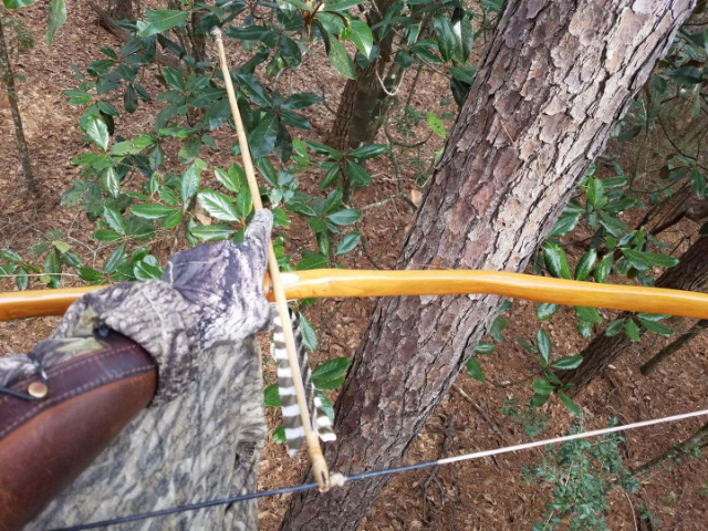 Traditional Archery Hunting, Lucas Forge, Traditional Bowhunting