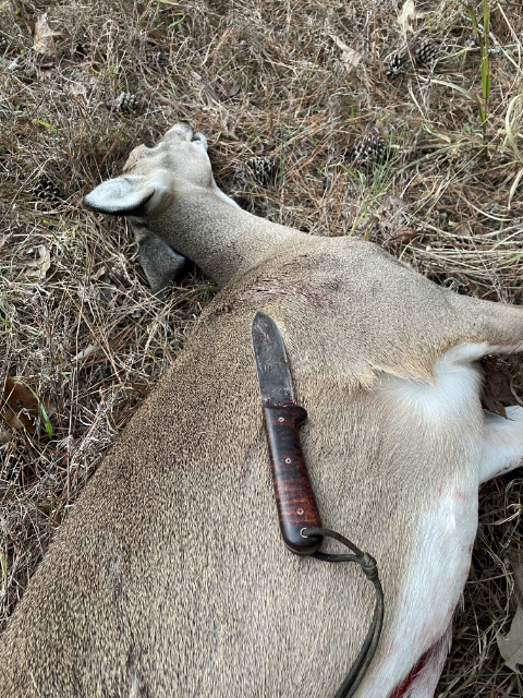 Deer Hunting Knife, Custom Hunting Knife, Lucas Forge