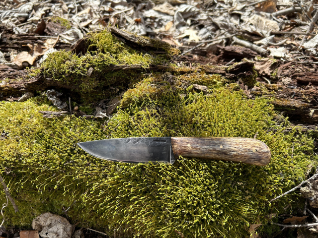 Grouse Knife, Lucas Forge Custom Hunting Knives, Powder River