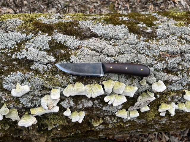 Grouse Knife, Lucas Forge Custom Hunting Knives, Powder River