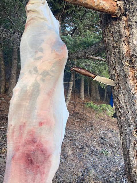 Jack Pine Special, Custom Hunting Knives, Lucas Forge, Willow Leaf Knife