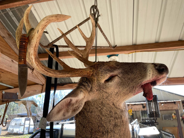 Traditional Archery, Lucas Forge, Primitive Archery, Deer Hunting Knife, Frontier Knives