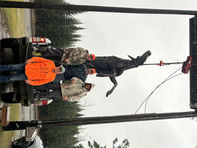 Hunting Knife, Kephart Knife, Kephart Jr. Knife, Lucas Forge, Custom Hunting Knives