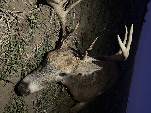 NE Deer Hunting, Lucas Forge, Custom Hunting Knives, Packer Knife