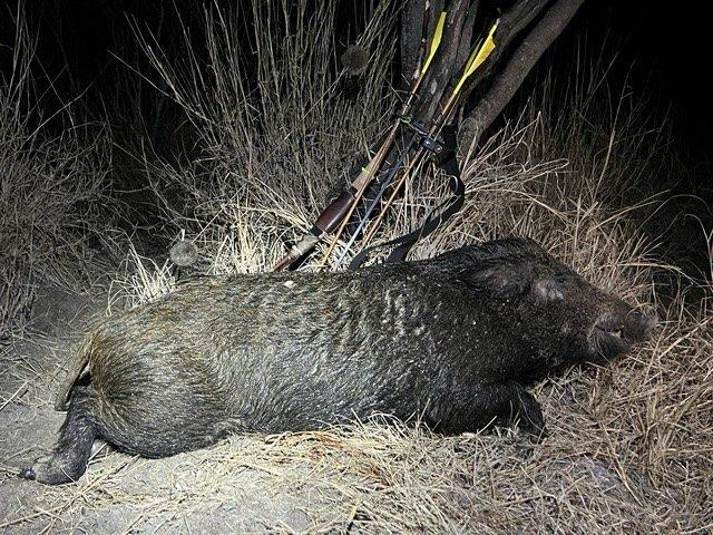 Hog Hunting Knife, Lucas Forge, Western Hog Hunting, Lucas Forge Hog Hunting Knife