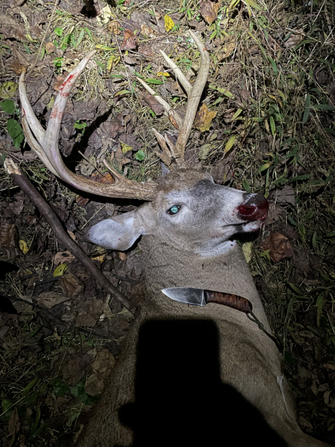 Whitetail Hunting Knife, Deer Hunting Knife, Lucas Forge, Custom Hunting Knives, Scout Knife, Scout Lucas Forge Knife