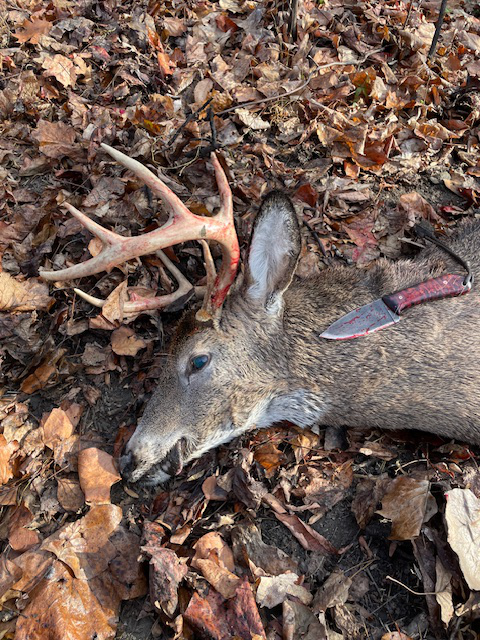 Whitetail Hunting Knife, Deer Hunting Knife, Lucas Forge, Custom Hunting Knives, Scout Knife, Scout Lucas Forge Knife