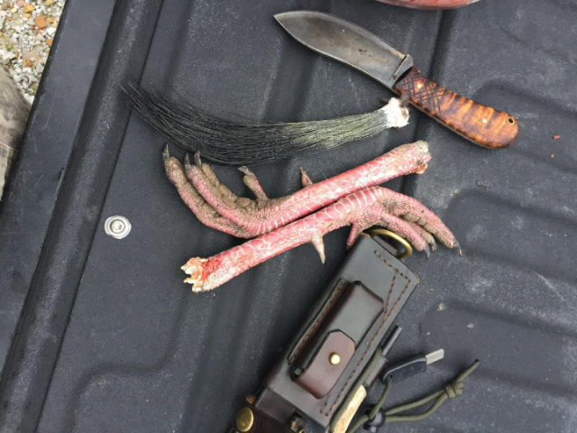Turkey Hunting, Turkey Knife, ProSkinner Knife, Lucas Forge, Hunting Knives, Custom Hunting Knives